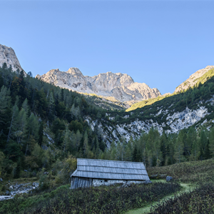 Zadnja Trenta–Bavški Grintavec