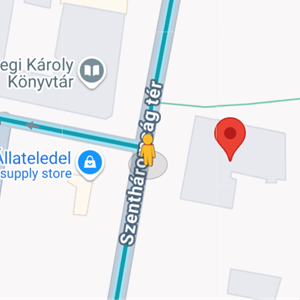 Csongrád, Szentháromság tér 14.